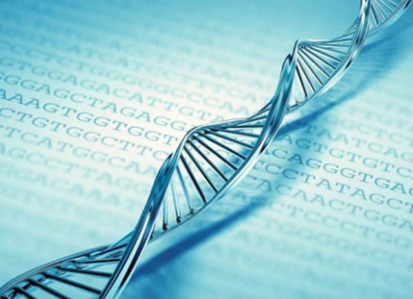 O Exame de DNA pode ser emitido através da Defensoria Pública da sua cidade 