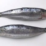 Sardinha