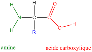 Cadeia de aminoácido