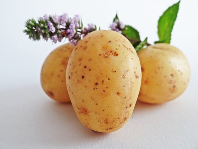 As batatas germinadas afetam a saúde e o funcionamento do corpo. 