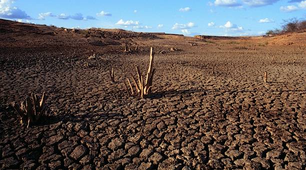 Um ecossistema único no Brasil.