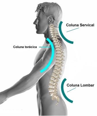 coluna lombar