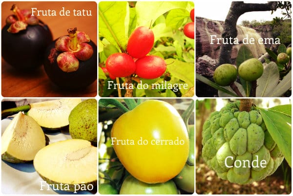 Frutas diferentes iniciadas com a letra F.