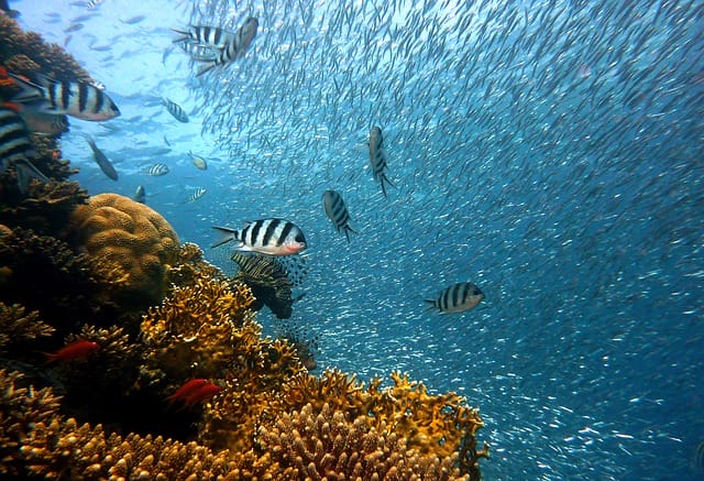 O mar é um lindo cenário natural.