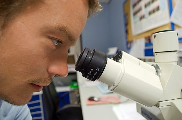 O microscópio é ideal para ver seres micros que não podem ser vistos a olho nu.