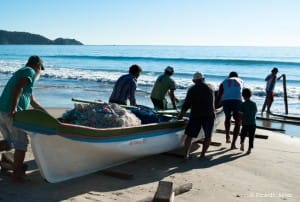 A alegria dos pescadores é aparente quando ocorre a chegada da temporada das tainhas. 