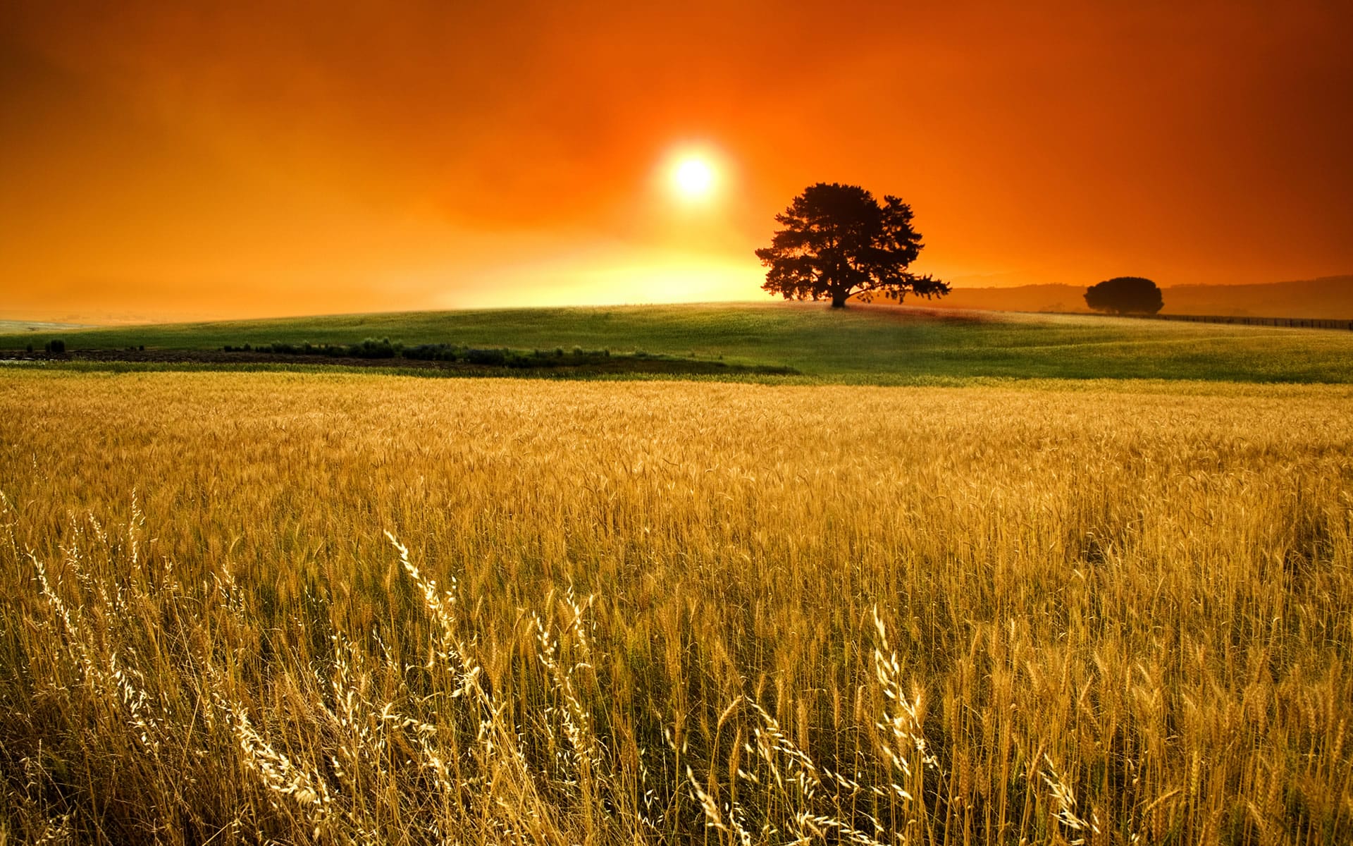 O Sol é a principal fonte emissora de energia