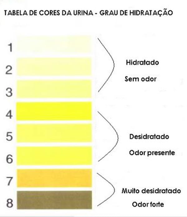 Confira os níveis de desidratação no seu corpo através da tabela.