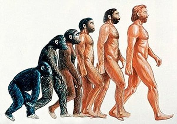 As etapas da evolução ocorreram ao longo dos anos