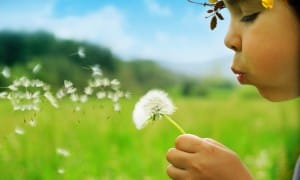 Frases de reflexão, amor e amizade (Foto: Divulgação)